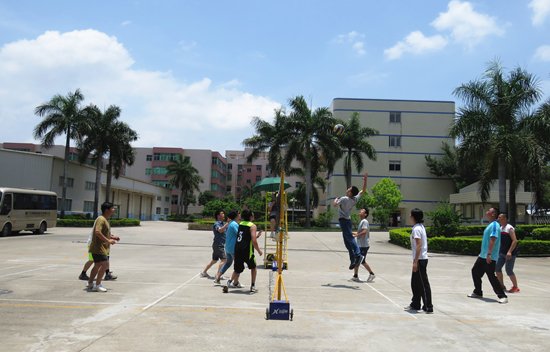 厦门标准砂公司开展2016年度夏季气排球比赛